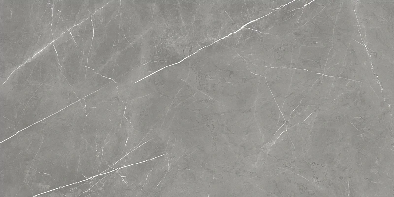 Керамогранит Atlas Concorde 610015000657 Forte dei Marmi Elegant Grey Rett Cer 60x120 - фото 5