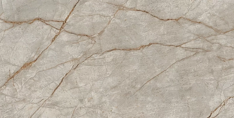 Керамогранит Atlas Concorde Empire Silver Root 80x160 лаппатированный - фото 3