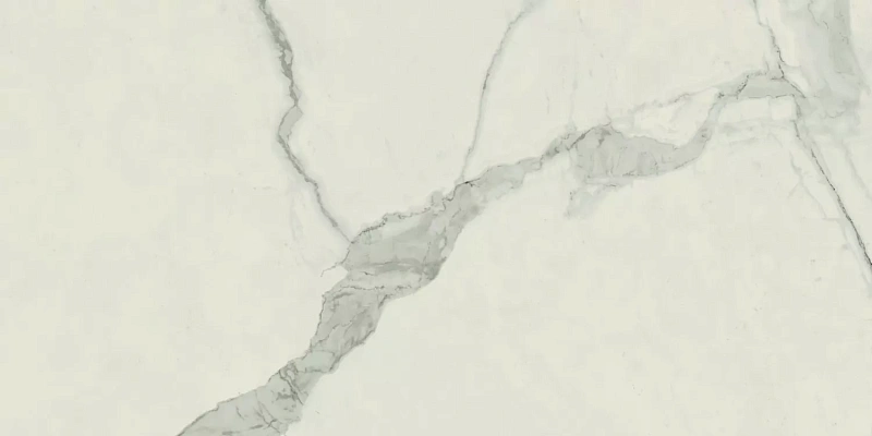 Керамогранит Atlas Concorde Empire Statuario 60x120 матовый - фото 2