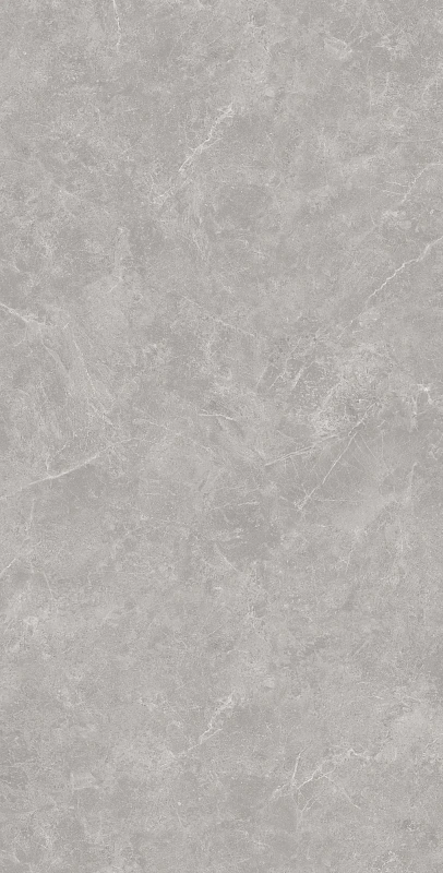 Керамогранит Креанза SL1002-A Oviedo Gris Solido 60x120 серый - фото 1