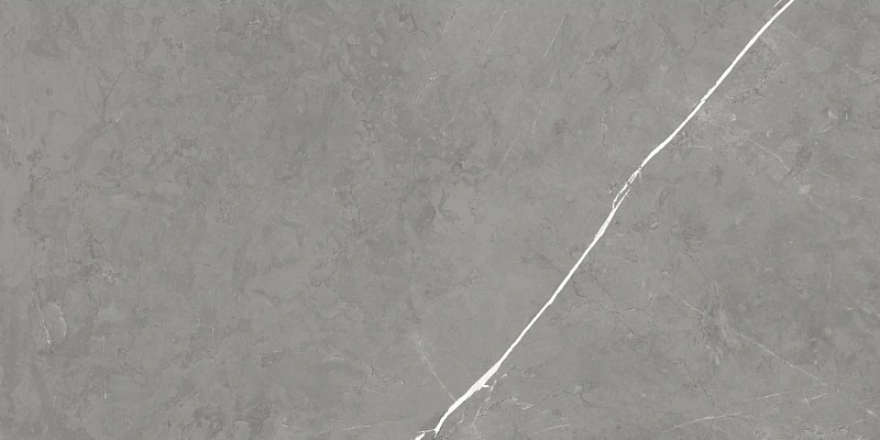 Керамогранит Atlas Concorde 610015000657 Forte dei Marmi Elegant Grey Rett Cer 60x120 - фото 3