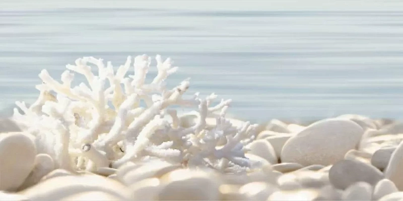 Декор Alma Ceramica Del Mare DWU09DLM624 24.9x50 - фото 1