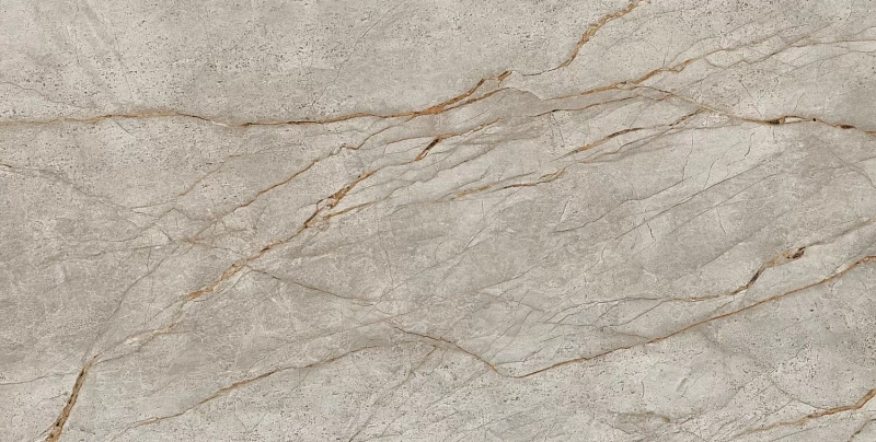 Керамогранит Atlas Concorde Empire Silver Root 80x160 лаппатированный - фото 2