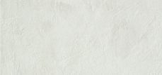 Evolve White Linea 30x60