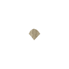 Italon Travertino Floor Project Noce Spigolo Cerato A.E.
